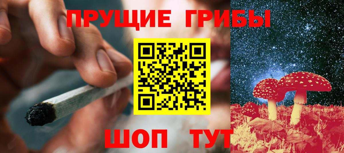 Амурск  Псилоцибиновые грибы MAGIC MUSHROOMS  Вход с VPN 