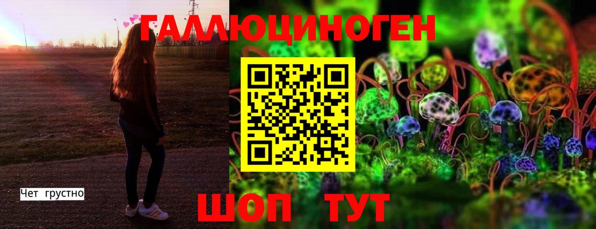 Псилоцибиновые грибы Cubensis Амурск